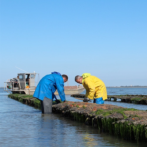 aquavitex-shooting-ostreicole-2