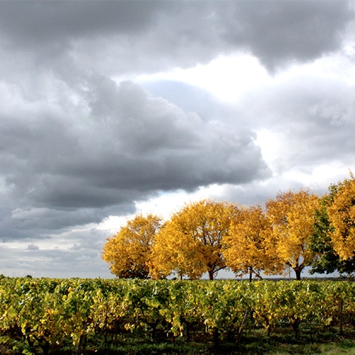 aquavitex-shooting-vignoble