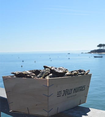 photo-bourriche-jolly-huitres